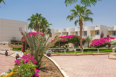 Similar image 7802863