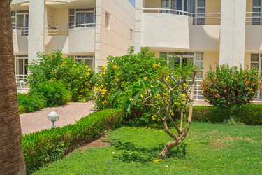 Similar image 7802865