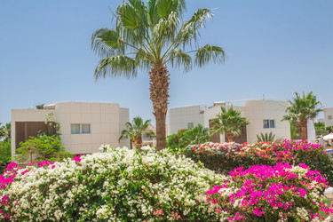 Similar image 7802866