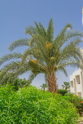 Similar image 7802867