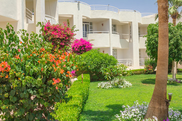 Similar image 7802871