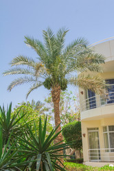 Similar image 7802873