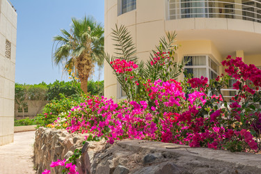 Similar image 7802874