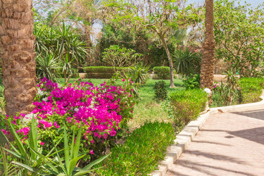 Similar image 7802876