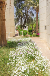 Similar image 7802877