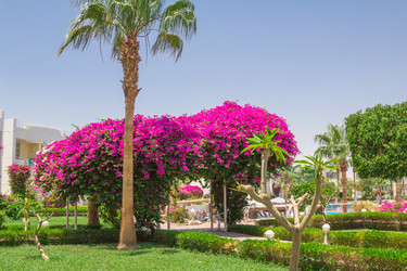 Similar image 7802878