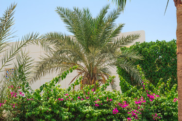 Similar image 7802879