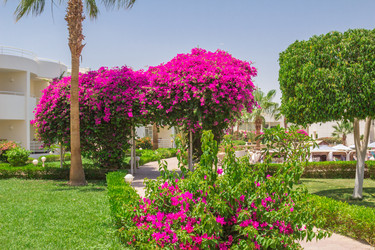 Similar image 7802881