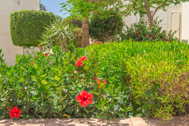 Similar image 7802883