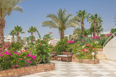 Similar image 7802884