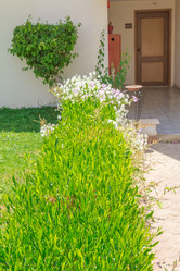 Similar image 7802885