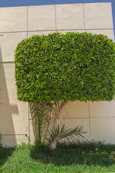 Similar image 7802886