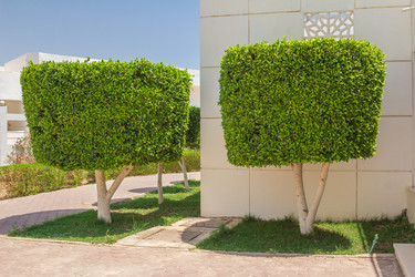 Similar image 7802887