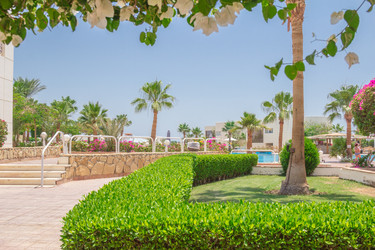 Similar image 7802892