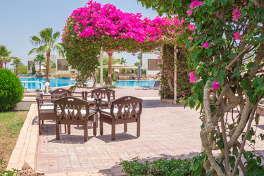 Similar image 7802894