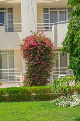 Similar image 7802895