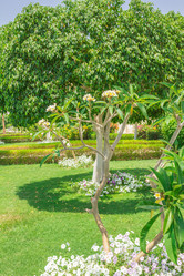 Similar image 7802897