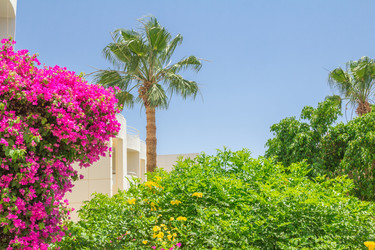 Similar image 7802898