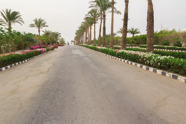 Similar image 7802935