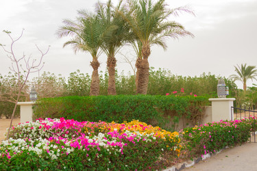 Similar image 7802936