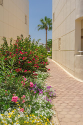 Similar image 7802940