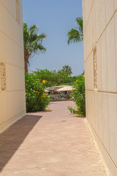 Similar image 7802941