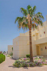 Similar image 7802942