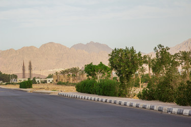 Similar image 7802945