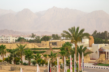 Similar image 7802948