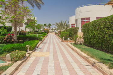 Similar image 7802955