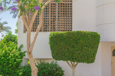 Similar image 7802956