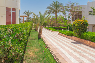 Similar image 7802957