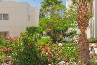 Similar image 7802958