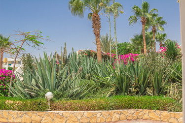 Similar image 7802959