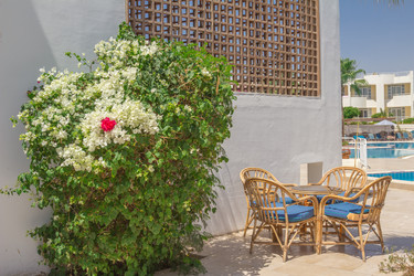 Similar image 7802960