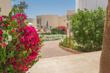 Similar image 7802961