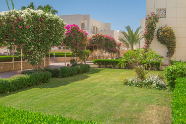 Similar image 7802962