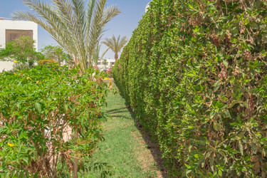 Similar image 7802963