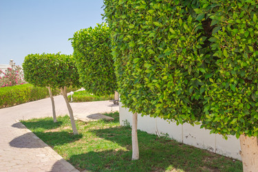 Similar image 7802967