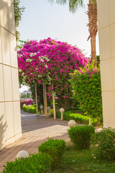 Similar image 7802976