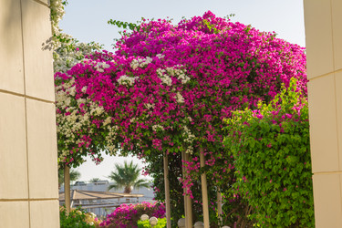 Similar image 7802977