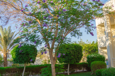 Similar image 7802978