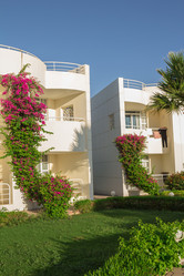 Similar image 7802979