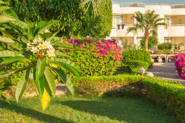 Similar image 7802980