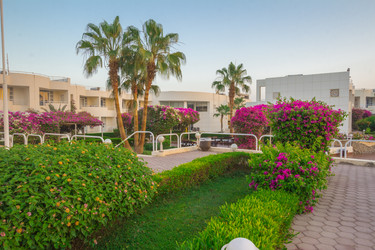 Similar image 7802985