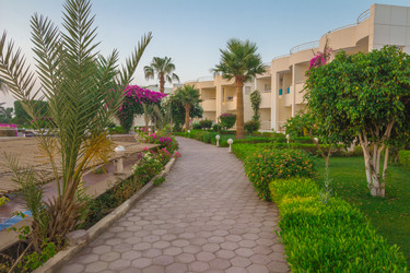 Similar image 7802986