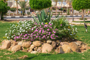 Similar image 7802990