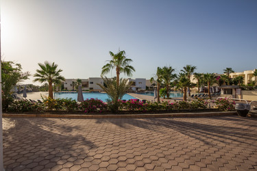 Similar image 7803319