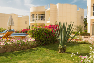 Similar image 7803320