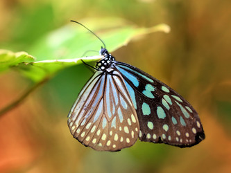 Similar image 7803394